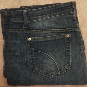 JOES JEANS MUSE FIT W 31 LOW RISE ADORABLE 👖💙✨